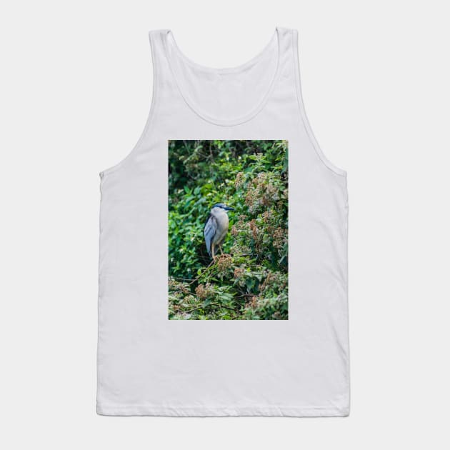 Black crowned night heron in Honolulu 2 Tank Top by KensLensDesigns